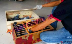 成都小鳥航空運(yùn)輸